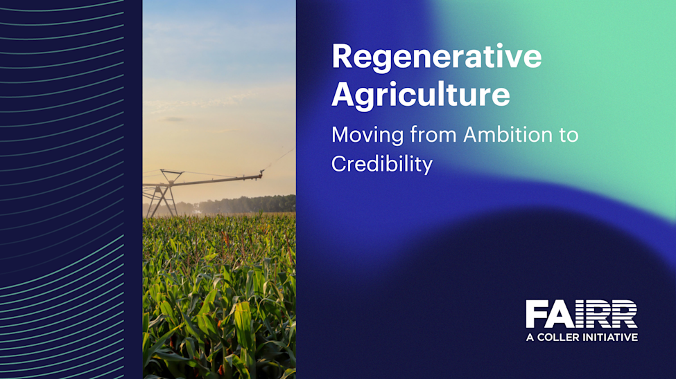 How credible are corporate disclosures on regenerative agriculture?