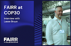 COP30 interview with Lasse Bruun