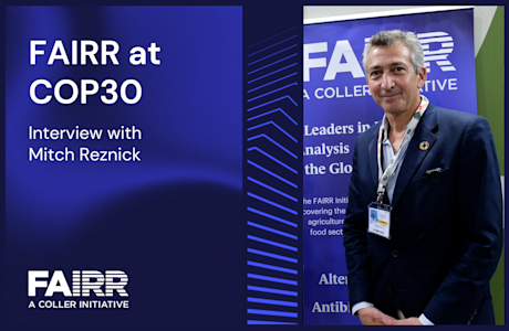 COP30 Interview with Mitch Reznick