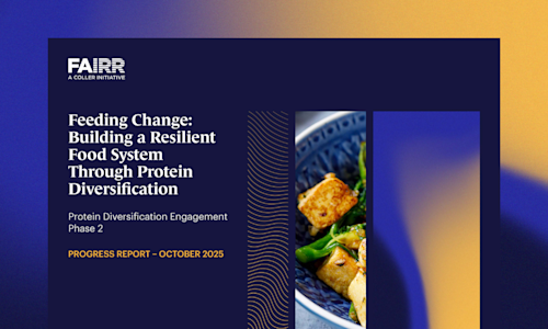 PDE Phase 2 report launch banner