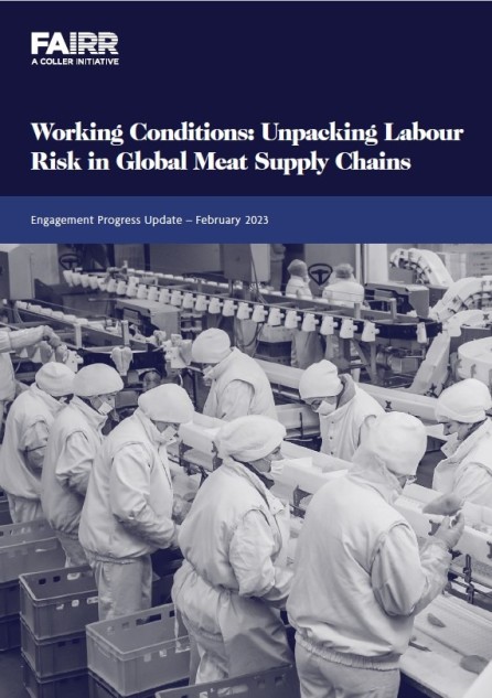 Working Conditions Report