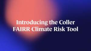 introducing coller risk tool