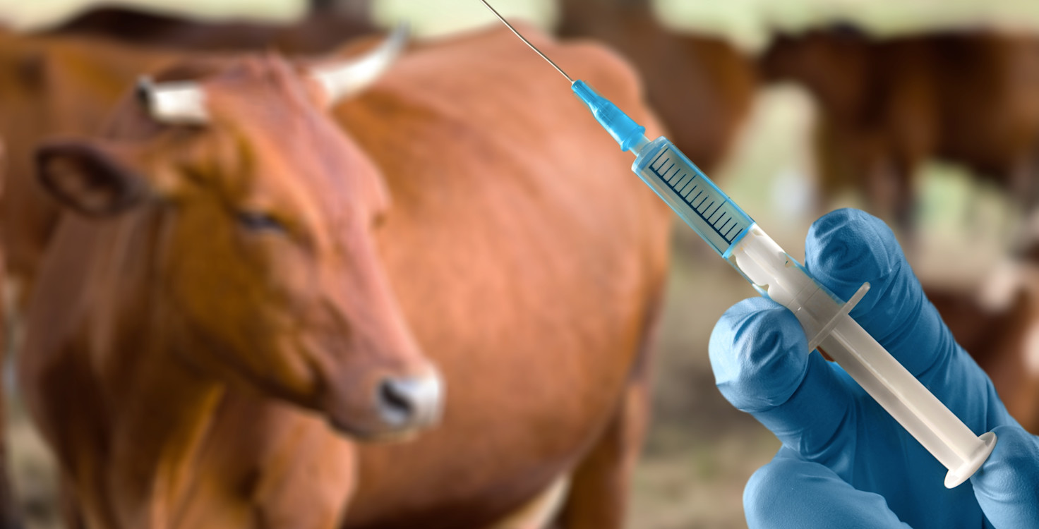 shutterstock 2127580964