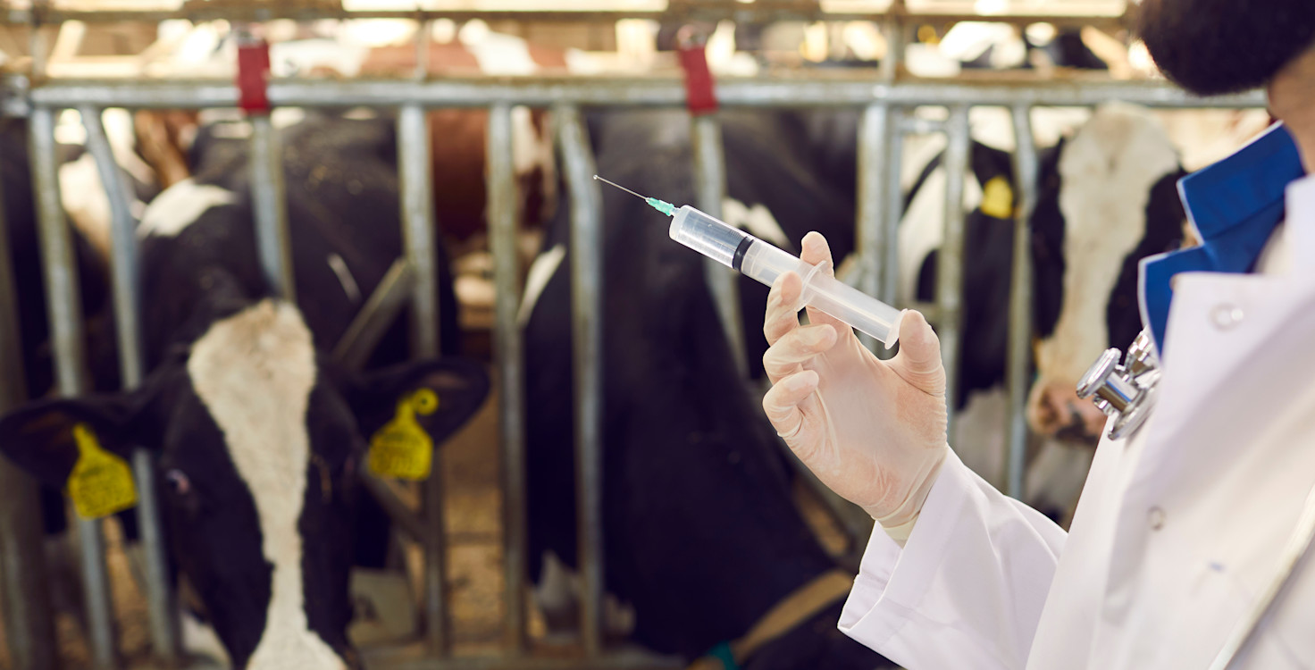 shutterstock 1836906547