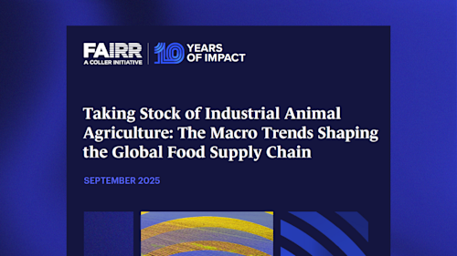 State of the Market report website banner