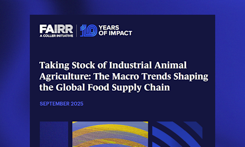 State of the Market report website banner