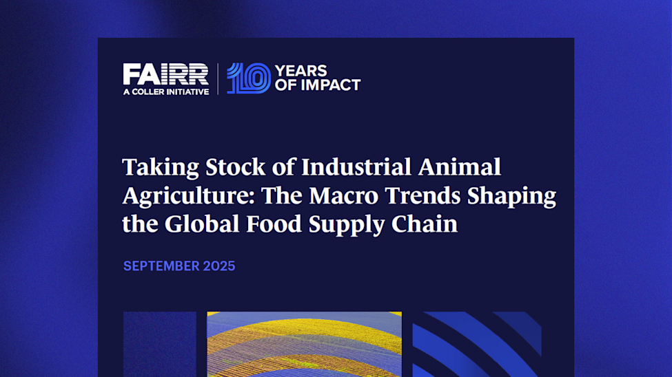 State of the Market report website banner