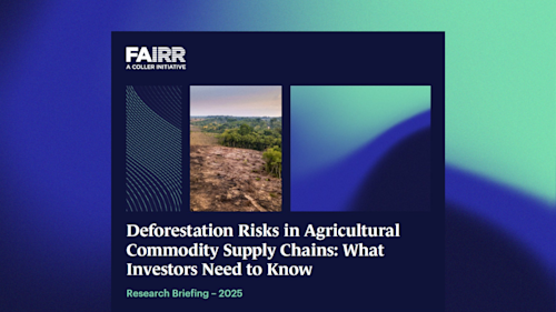 Deforestation leaflet banner image