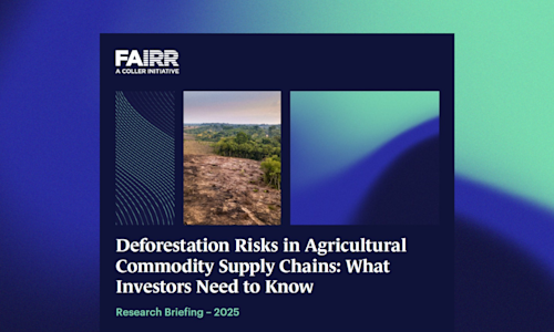 Deforestation leaflet banner image