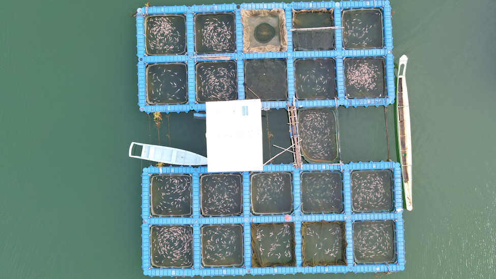 Aerial view - fish farm 3