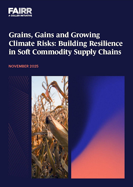 Grains and Gains - Report Cover 2025