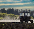 pesticides