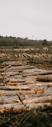 Statement-Header-Image-3