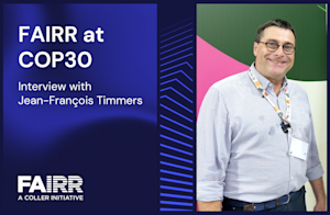 COP30 interview with Jean-Francois Timmers