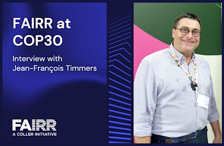 COP30 interview with Jean-Francois Timmers