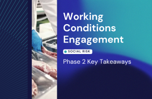 Working Conditions Phase 2 Key Takeaways