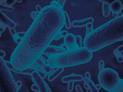 Antibiotics-Superbugs-13.jpg