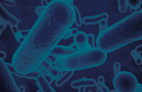 Antibiotics-Superbugs-13.jpg