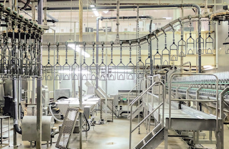 Meat-Factory-3.jpg