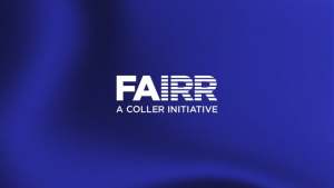 fairr video