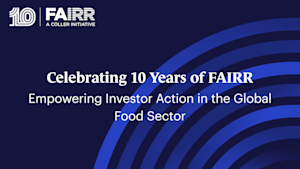 Celebrating 10 Years of FAIRR Video thumbnail