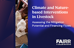 Climate and Nature-based Interventions in Livestock