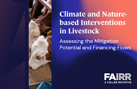 Climate and Nature-based Interventions in Livestock