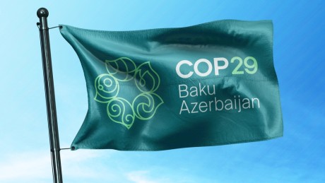 COP29 flag