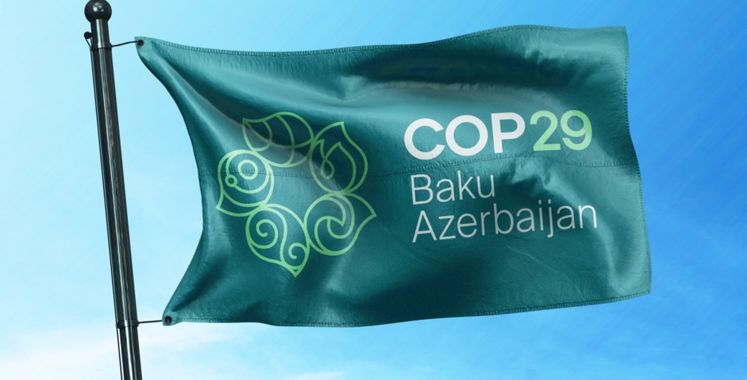 COP29 flag