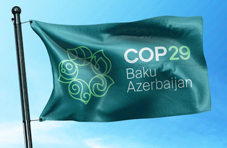 COP29 flag