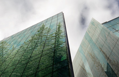 Green-finance.jpg