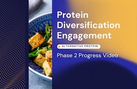 PDE Phase 2 video thumbnail