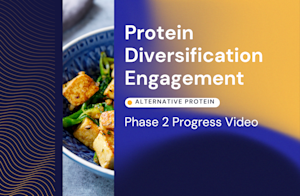 PDE Phase 2 video thumbnail