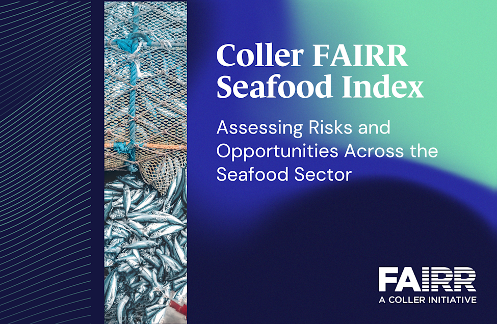 What are the risks and opportunities in seafood production