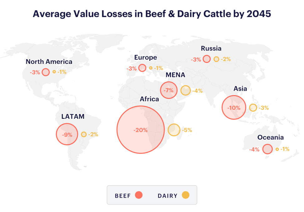 FAIRR Average Value Losses in Beef and Dairy Cattle by 2045