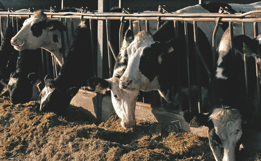 First publication of Coller FAIRR Protein Producer Index