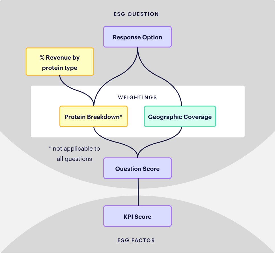 FAIRR-Weightings