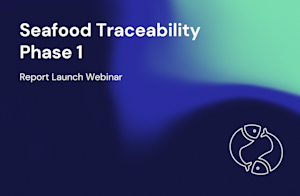 Seafood Traceability Phase 1 Report Launch Webinar