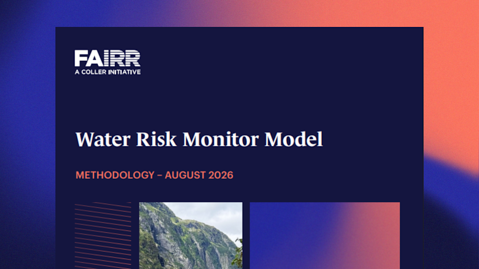 Water risk monitor methodology thumbnail