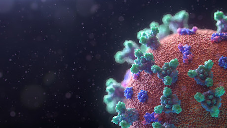 fusion-medical-animation-EAgGqOiDDMg-unsplash-scaled-e1590596673273.jpg