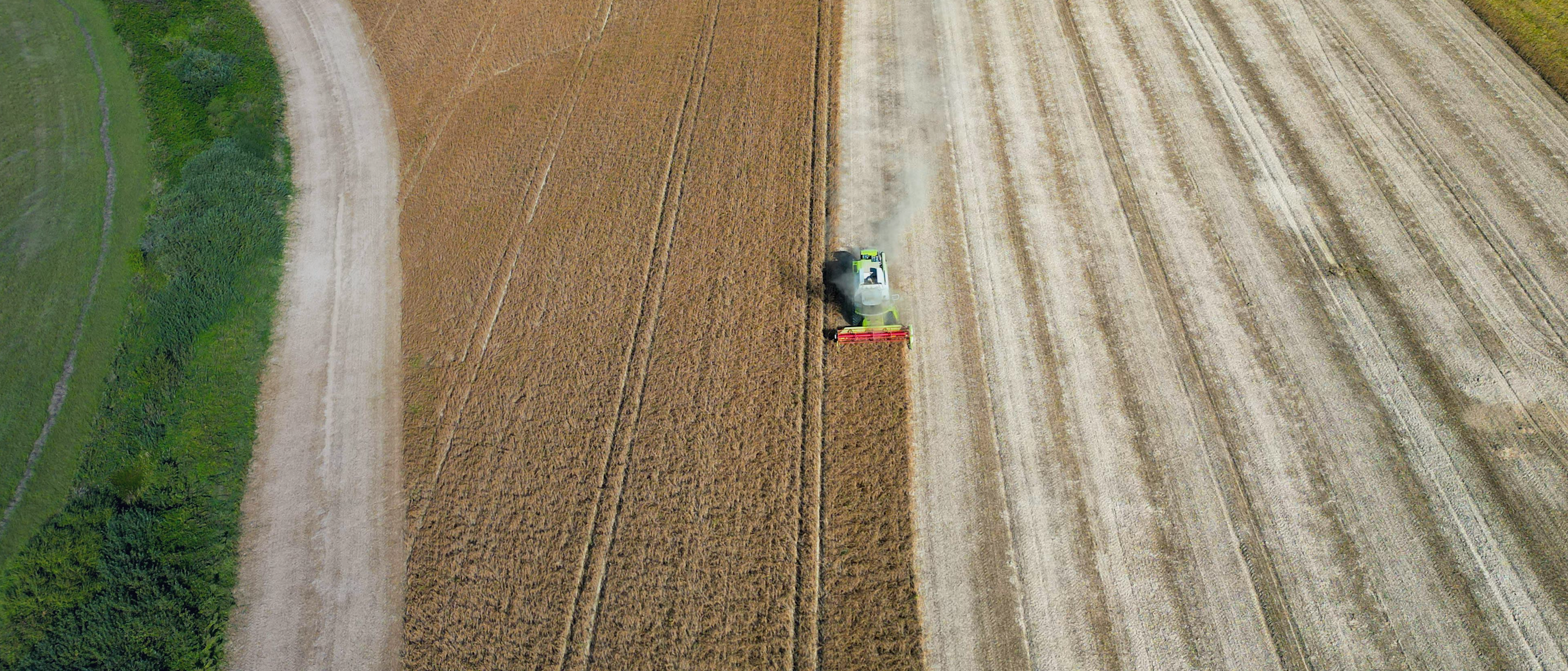 FAIRR Farming - Global Food Sector 30-Grad