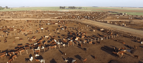 Index-header-2019-still-e1592570080204.png