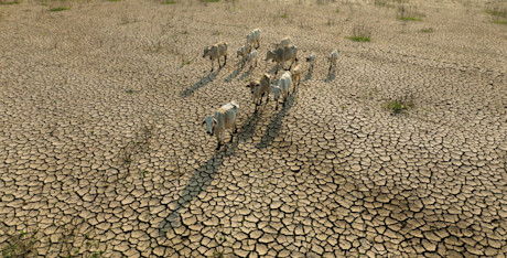 Climate Risk tool