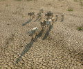 Climate Risk tool
