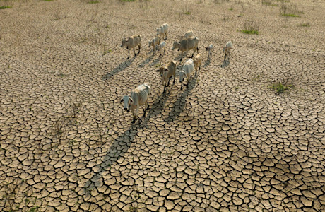 Climate Risk tool