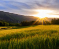 ESG-framework-header-featured.jpg
