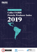 Latam-Index-2019 Report