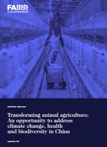 Transforming-Animal-Agriculture Report