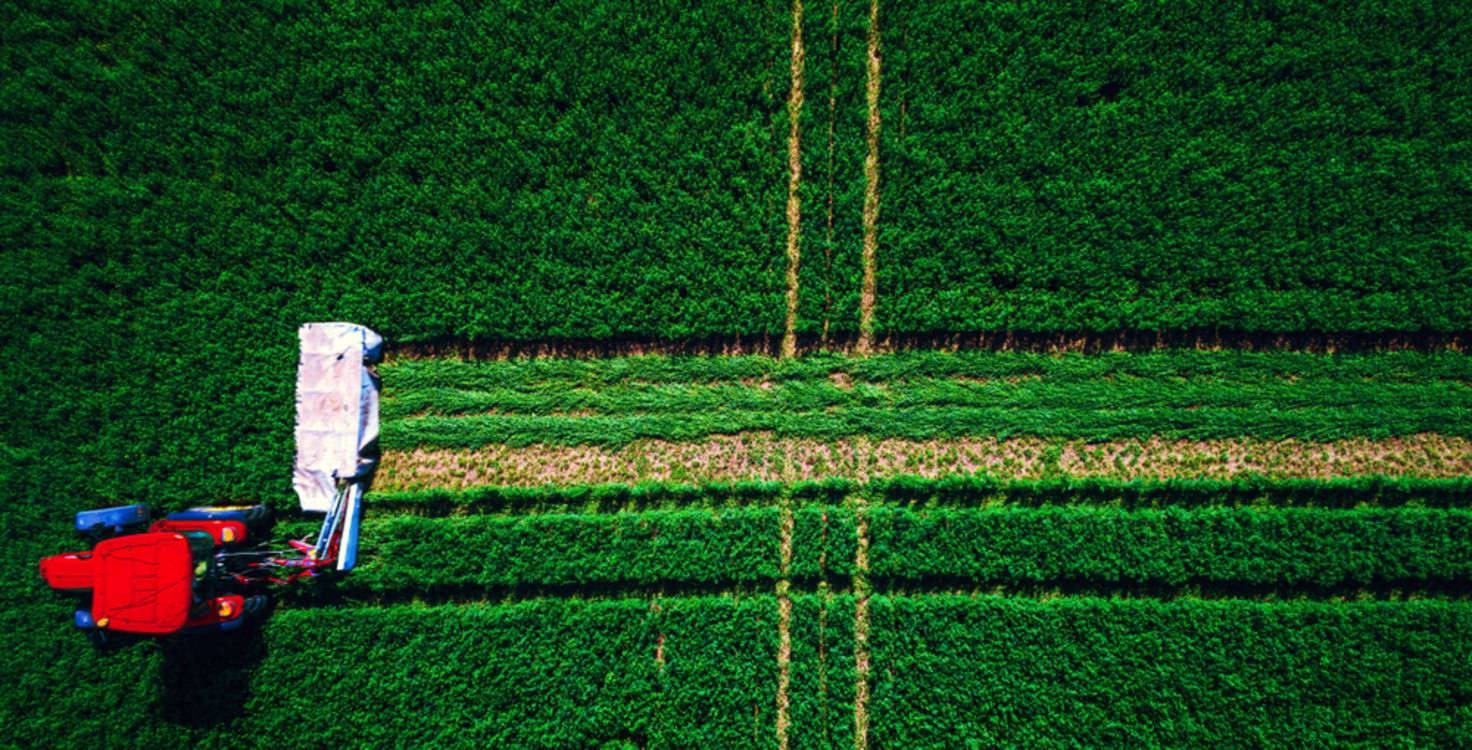 shutterstock 1061361644