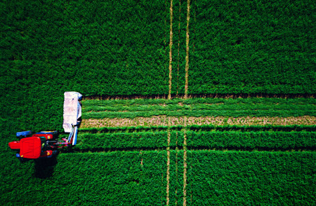 shutterstock 1061361644